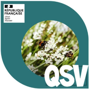 logo QSV